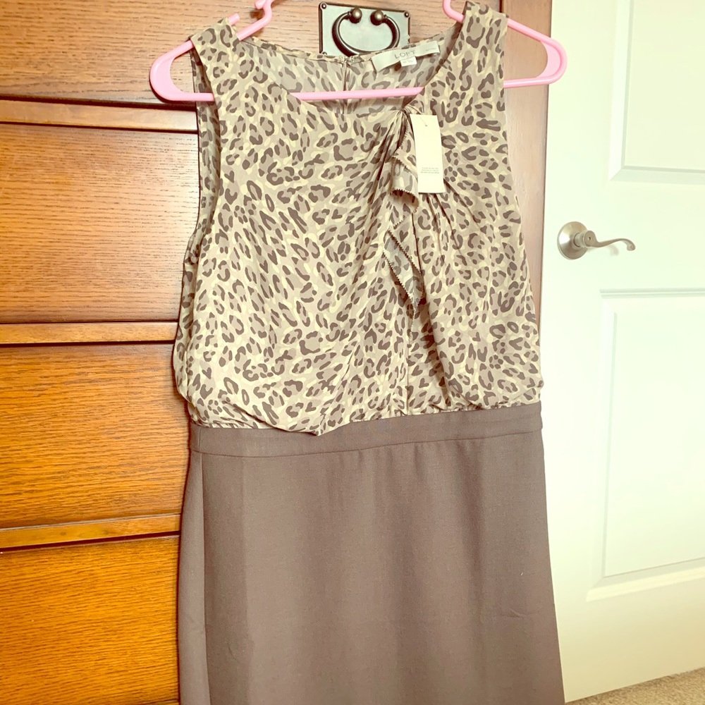 🦄 NWT LOFT Leopard shift dress, size 8P - Picture 4 of 7